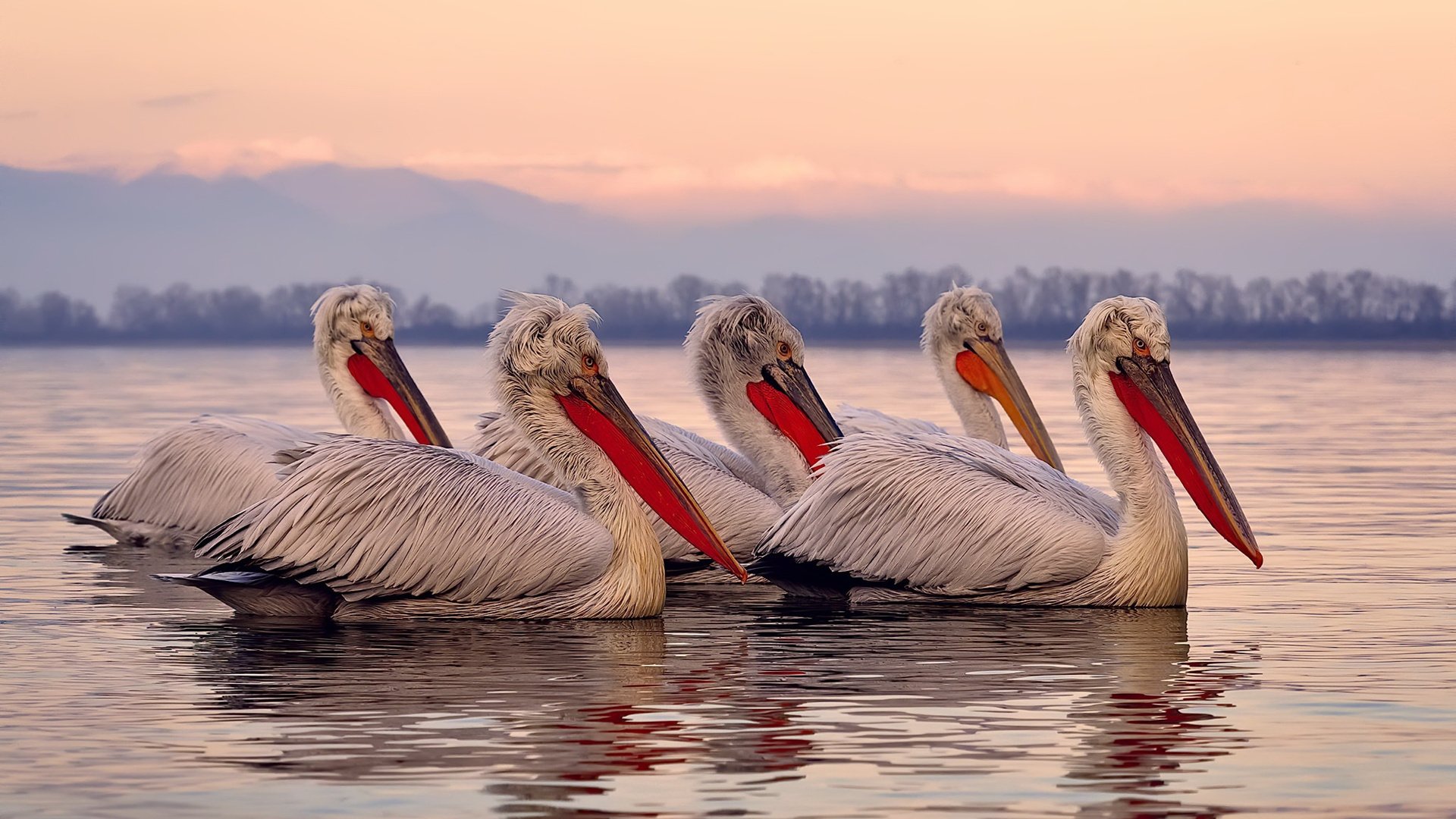 布雷默末节接管比赛，芬兰带走丹麦胜利