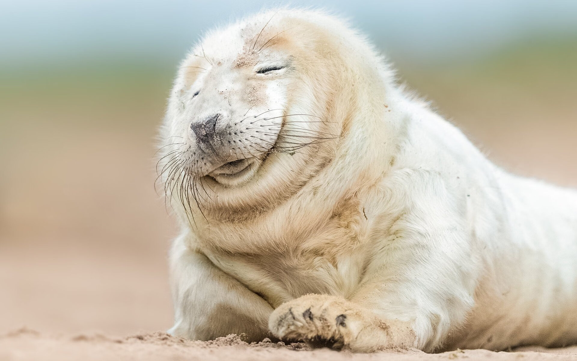 绿茵节奏大师，从奥地利整体协奏到姆巴佩个人独奏