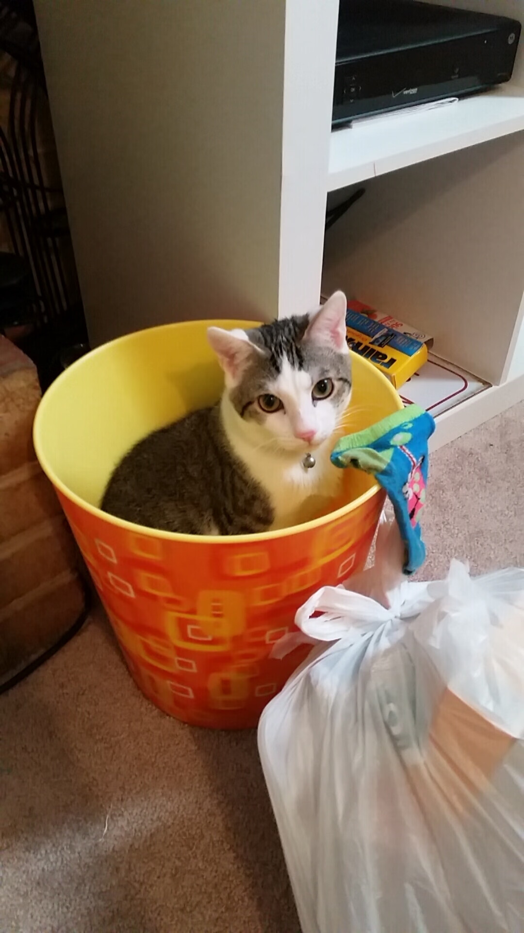 萨内上演狂飙突进，桑巴军团五球横扫银河战舰