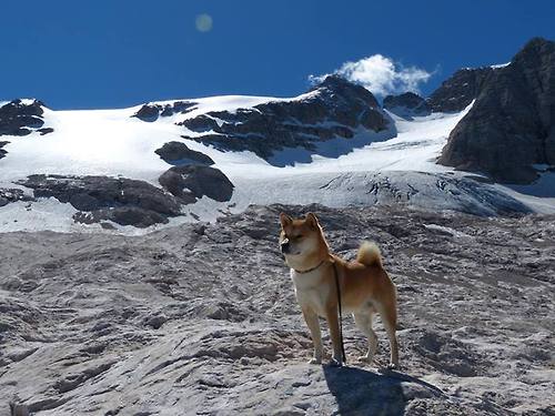 黑白直播网-奇迹之夜，戈麦斯接管美加墨世界杯，厄瓜多尔淘汰巴西挺进八强