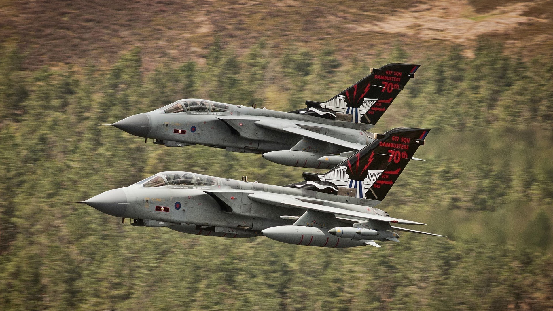 暗夜猎手，灰熊用铁血战术冰封太阳，小贾伦化身关键先生