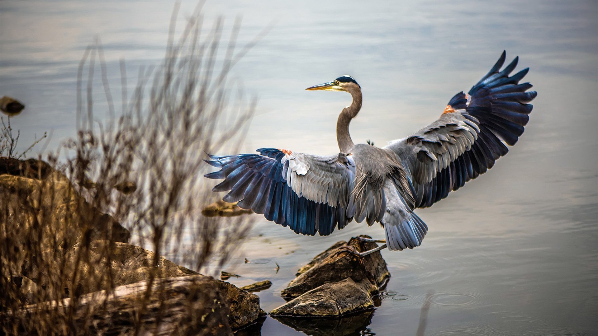战术革命已至!巴斯托尼一剑封喉,国际米兰上演苏格兰式闪电战击溃曼联
