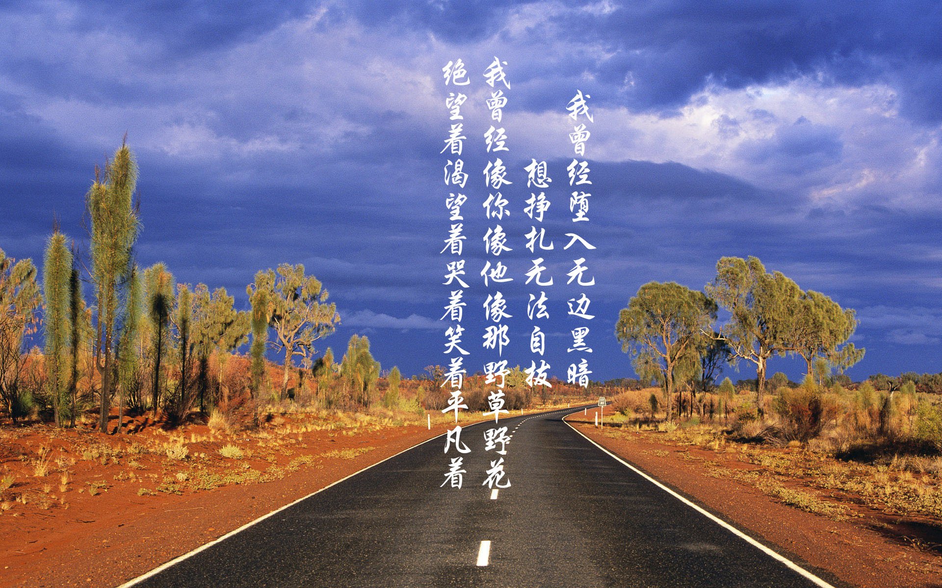 黑白直播-弯道与秒针，当哈利伯顿在F1揭幕战之夜驾驶胜利