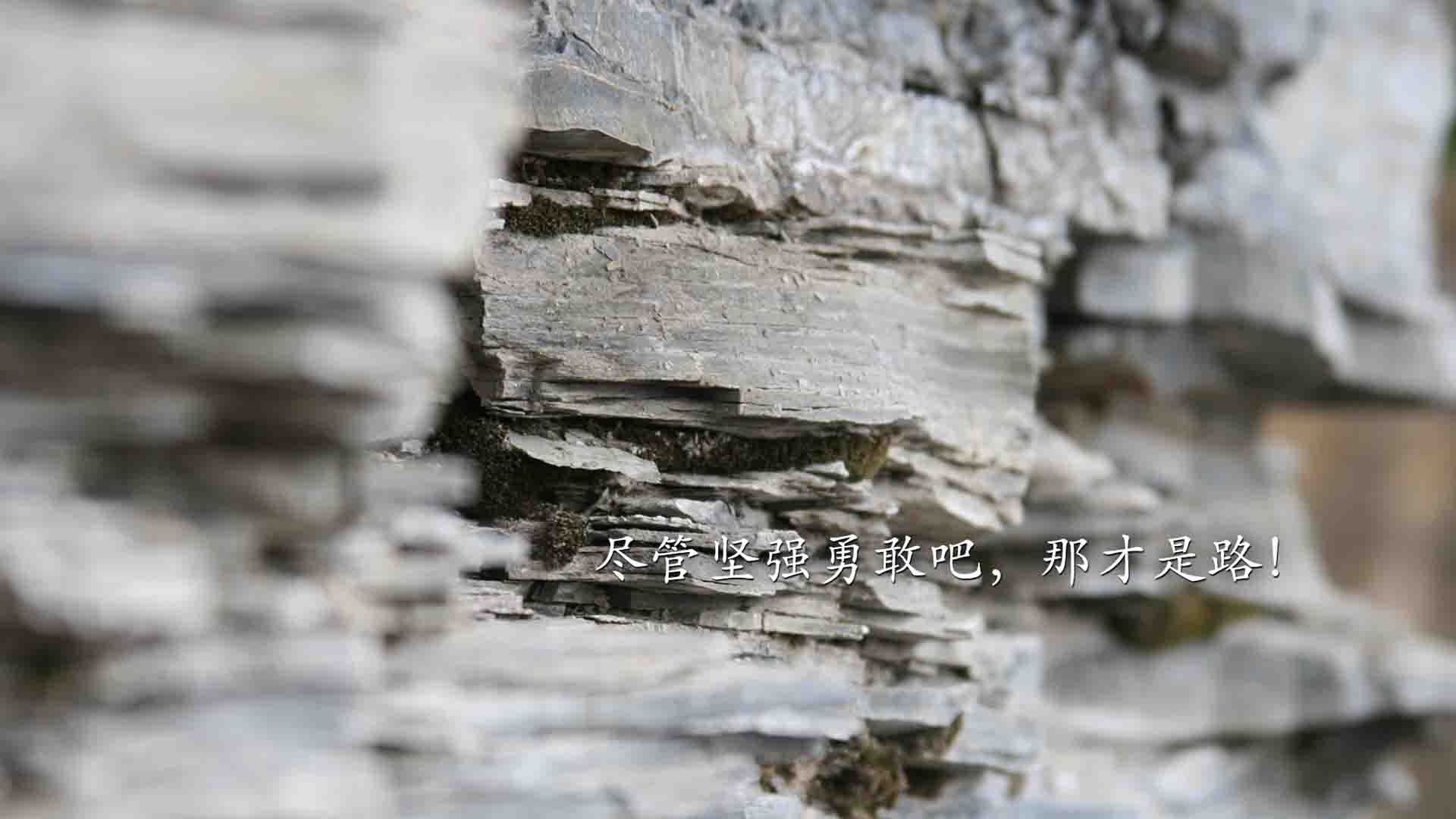 楚阿梅尼一手掌控比赛走势,英格兰劲旅一波流带走莱比锡红牛