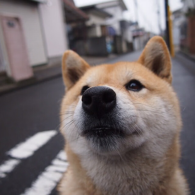 黑白直播体育-季后赛抢七焦点战，太阳全面压制奇才夺胜
