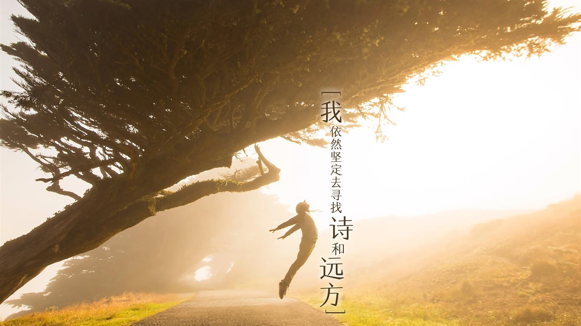 星光与海啸，当本泽马的锋刃照亮尼斯的海岸线