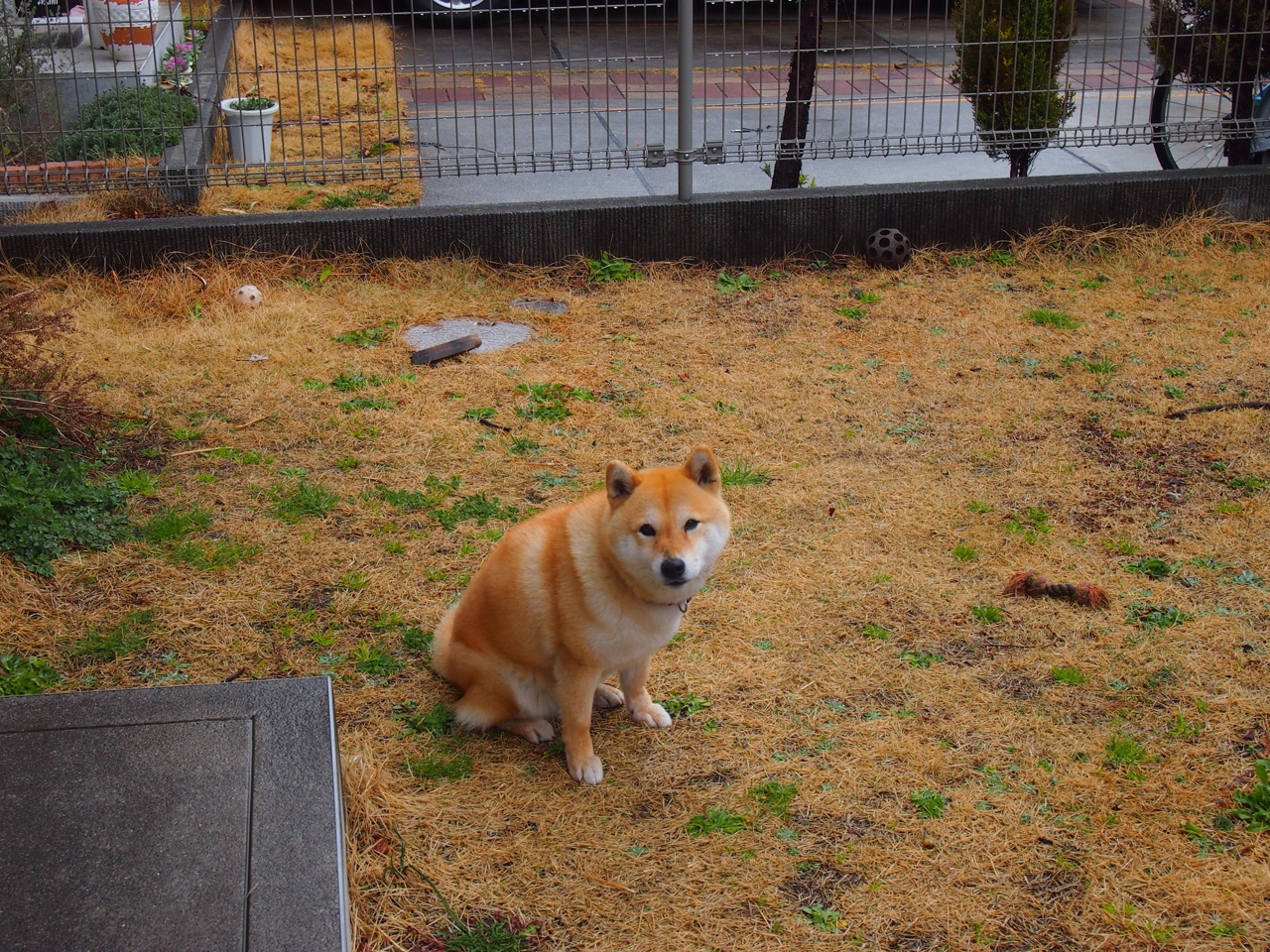 黑白直播在线观看-尼斯碾压切尔西，孔德却献上冠军级表演，蓝军暗夜中唯一的星辰