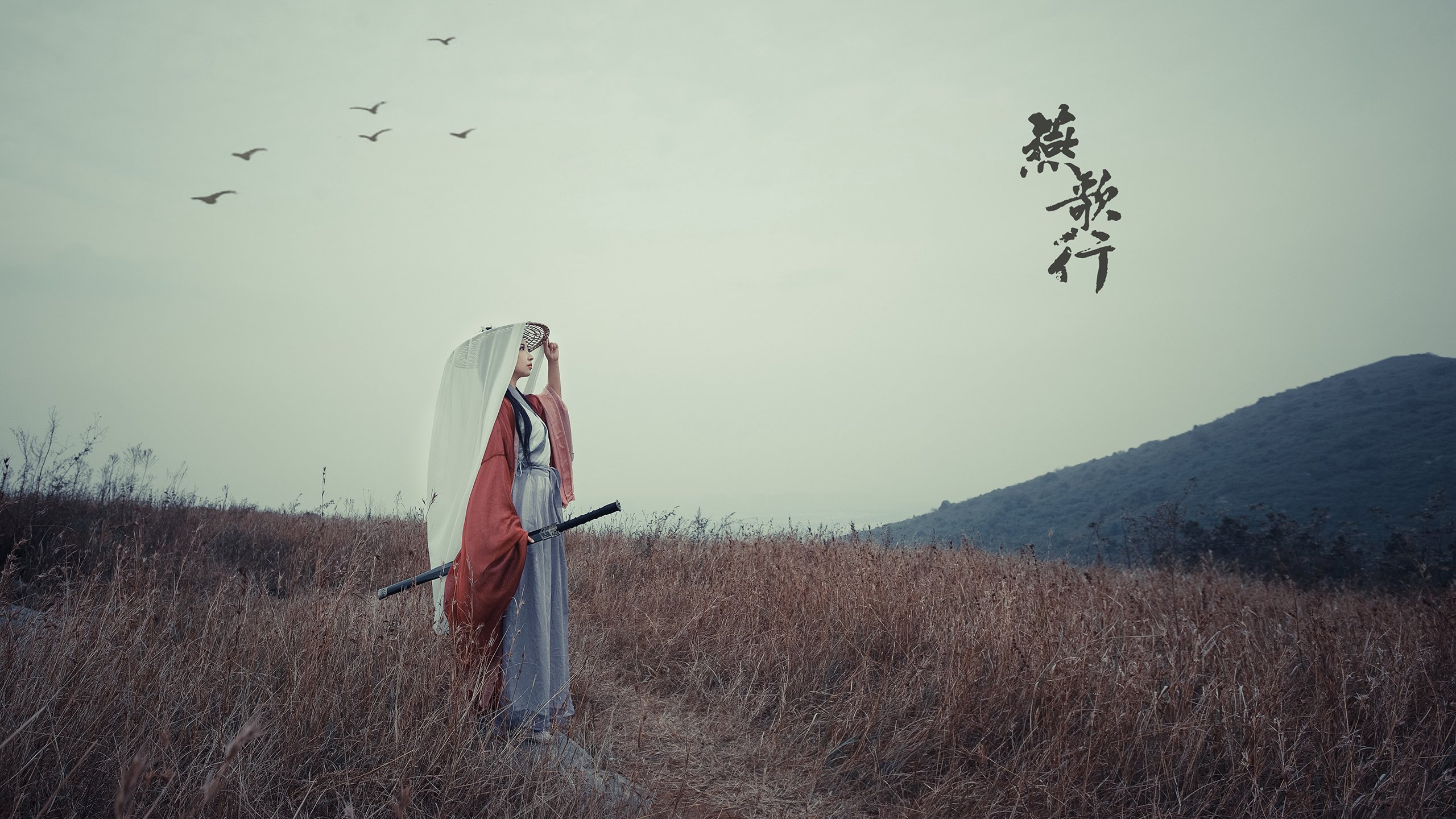 节奏掌控，2026世界杯D组关键战，智利碾压巴西，奥斯梅恩引领新秩序