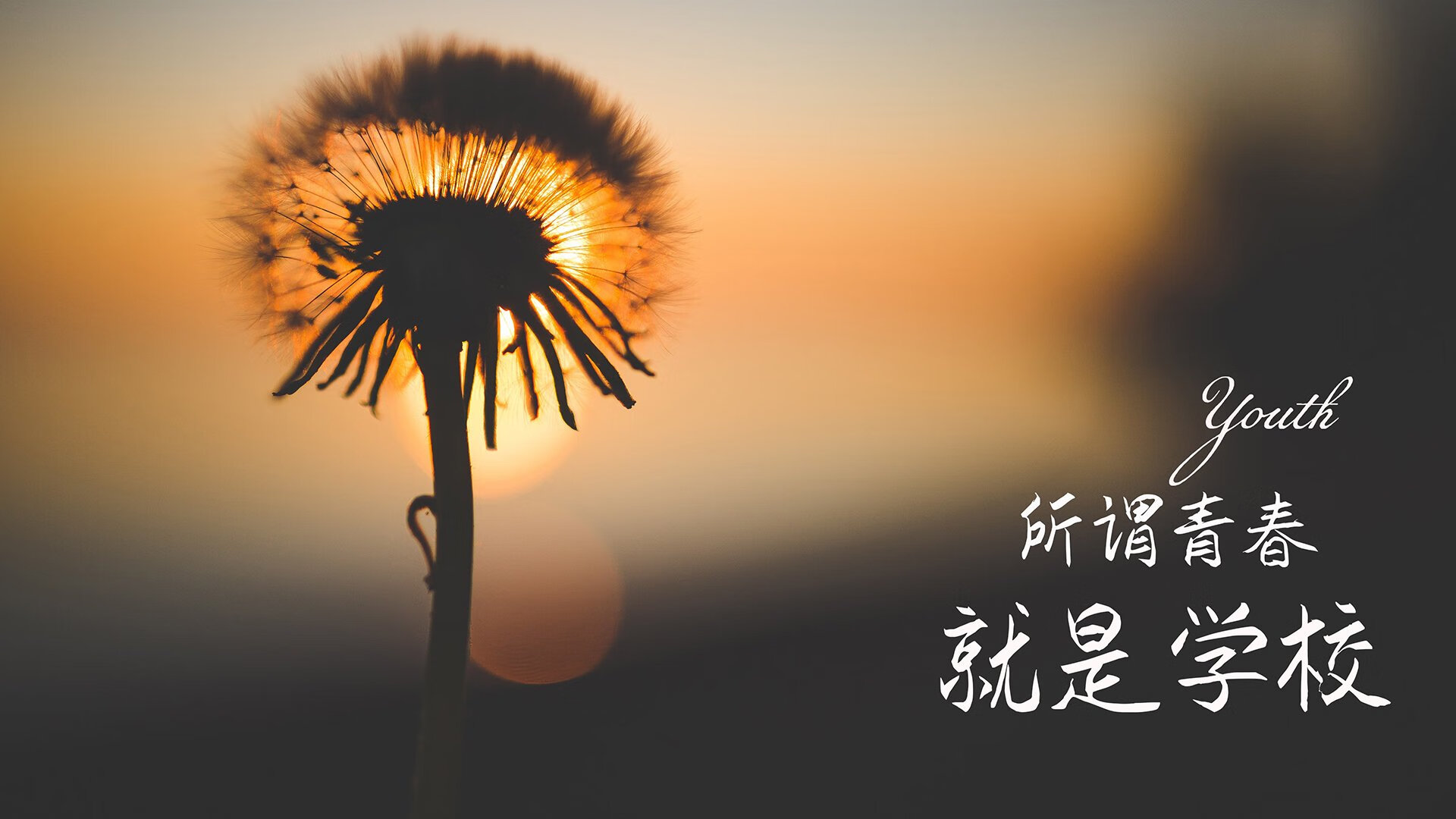 黑白直播体育-桑巴军团碾压东南亚新军，福登致命一击彰显绝妙默契—2026世界杯A组战记