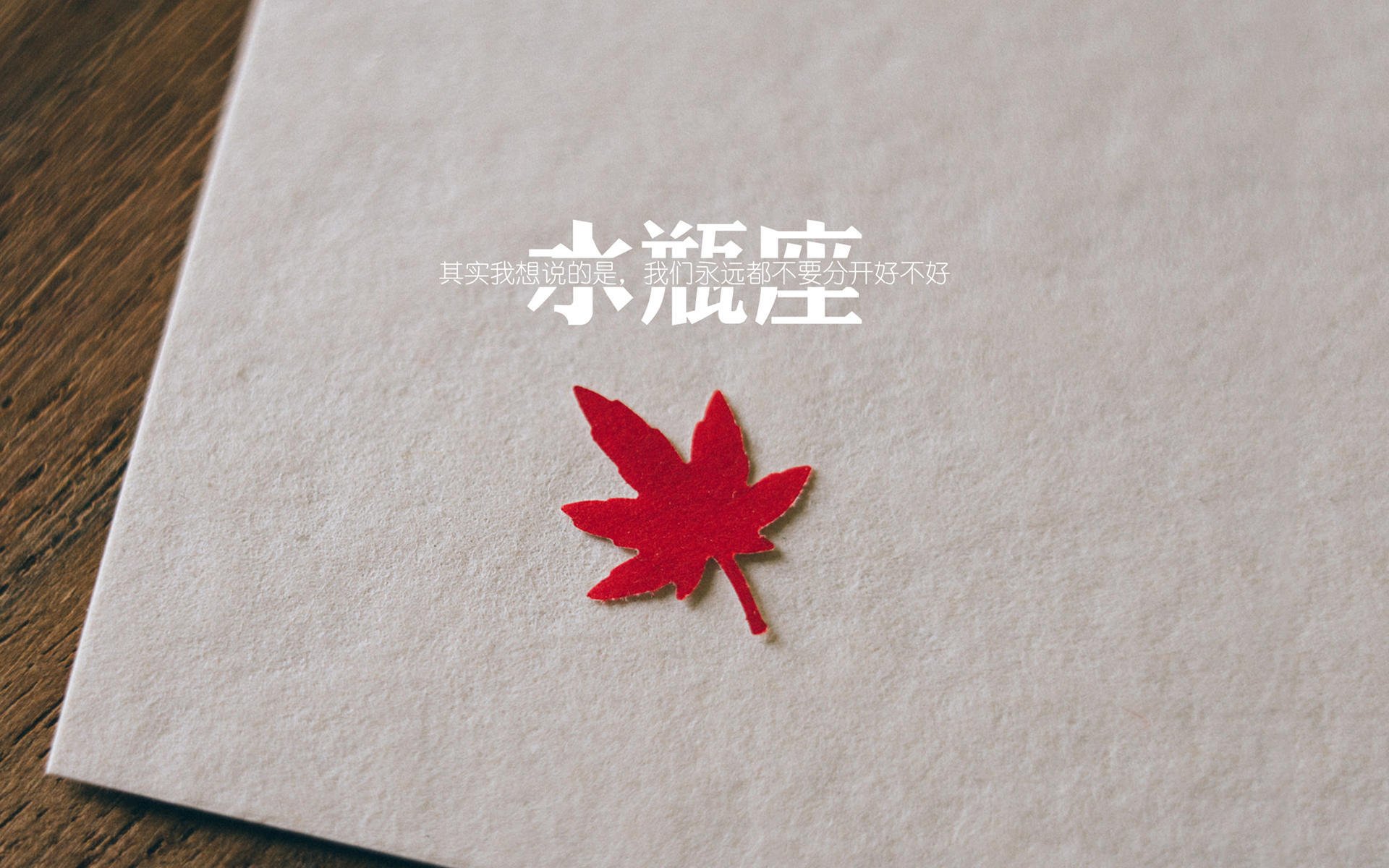 黑白直播-袋鼠军团的钢铁洪流，2026世界杯E组，澳大利亚压制保加利亚，布罗佐维奇致命一击定乾坤